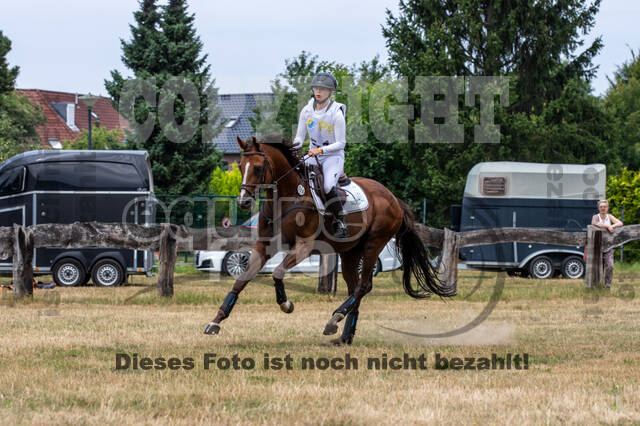 Late-Entry Vielseitigkeit Hamminkeln/Wesel (01.+02.08.2020)