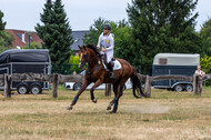 Late-Entry Vielseitigkeit Hamminkeln/Wesel (01.+02.08.2020)