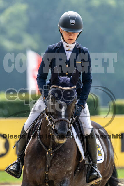 Goldene Schärpe 2021 - Ponys