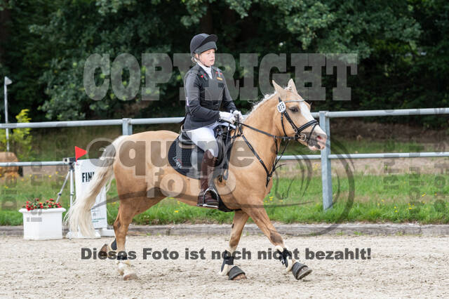 Late-Entry-Vielseitigkeit Langenfeld (06.+07.07.2020)