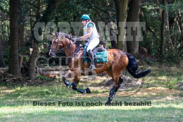 Late-Entry Vielseitigkeit Hamminkeln/Wesel (01.+02.08.2020)