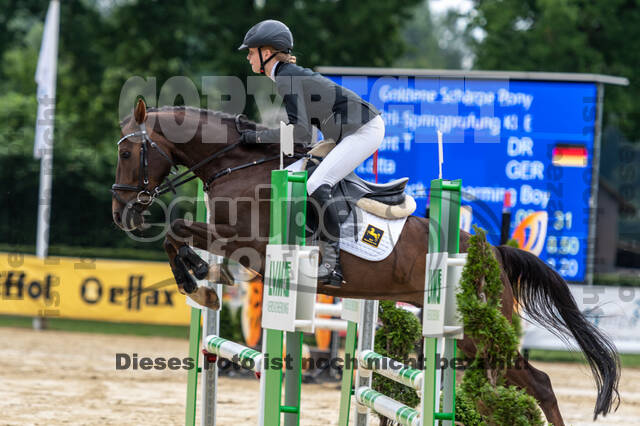 Goldene Schärpe 2021 - Ponys
