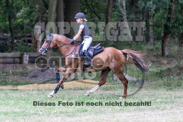 Late-Entry Vielseitigkeit Hamminkeln/Wesel (01.+02.08.2020)