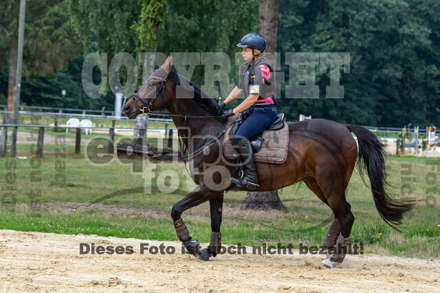 Hunter Geländetraining 10.07.2021 (Sonsbeck)