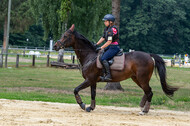 Hunter Geländetraining 10.07.2021 (Sonsbeck)