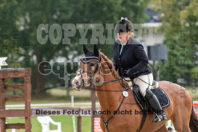 Vielseitigkeit RSV Wesel Obrighoven (26.+27.09.2020)