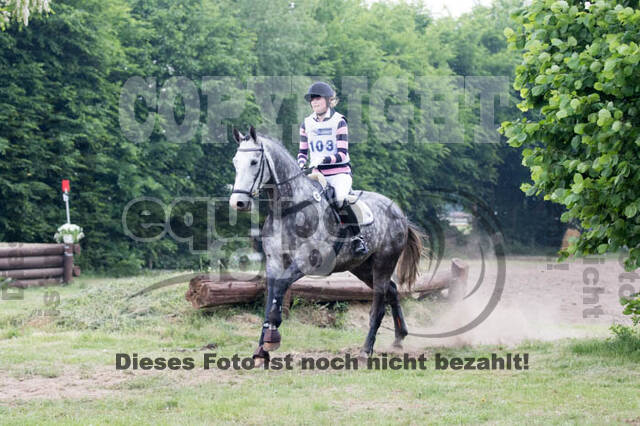 Vielseitigkeitsturnier ZRFV von Lützow Hamminkeln