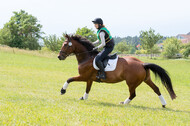 DJM Vielseitigkeit 2019, Kreuth