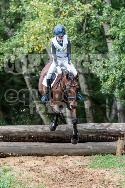 Vielseitigkeit RSV Wesel Obrighoven (26.+27.09.2020)