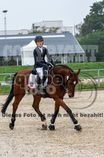 Goldene Schärpe 2020 - Pferde