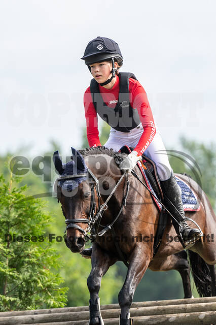 Goldene Schärpe 2021 - Ponys