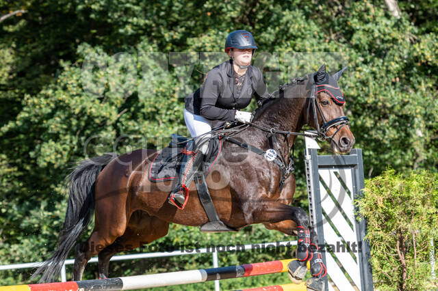 RFV Dinslaken-Hiesfeld (Herbstturnier)
