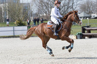 Eventing Langenfeld 2018