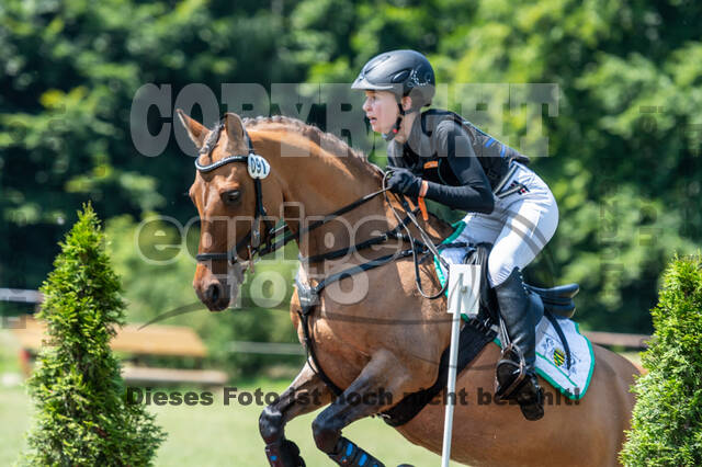 Goldene Schärpe 2021 - Ponys