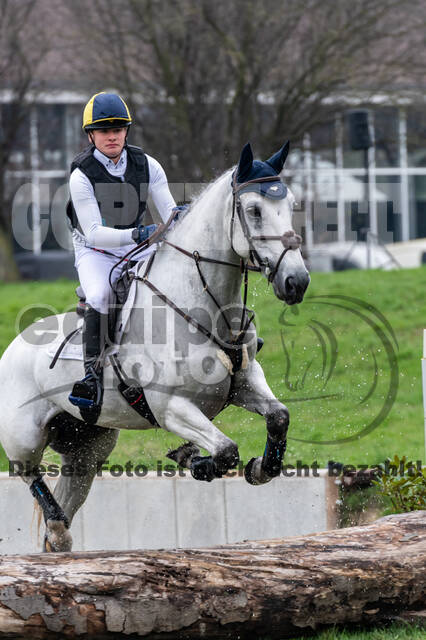 Goldene Schärpe 2020 - Pferde