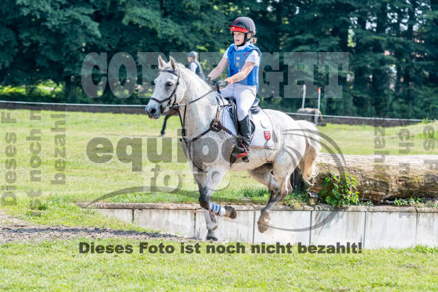 Goldene Schärpe 2021 - Ponys