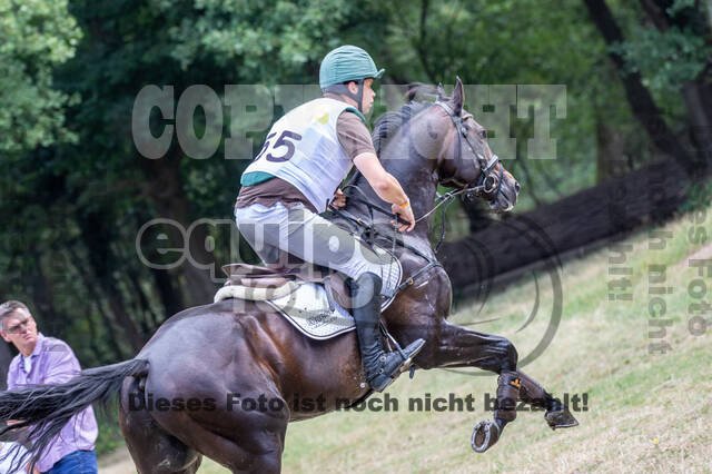 Late-Entry Vielseitigkeit Hamminkeln/Wesel (01.+02.08.2020)