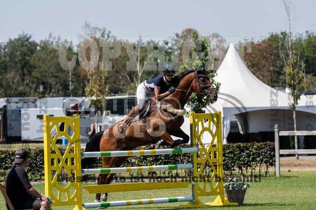 Kronenberg - De Peelbergen (August 2020)