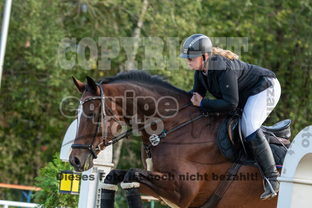 RFV Dinslaken-Hiesfeld (Herbstturnier)