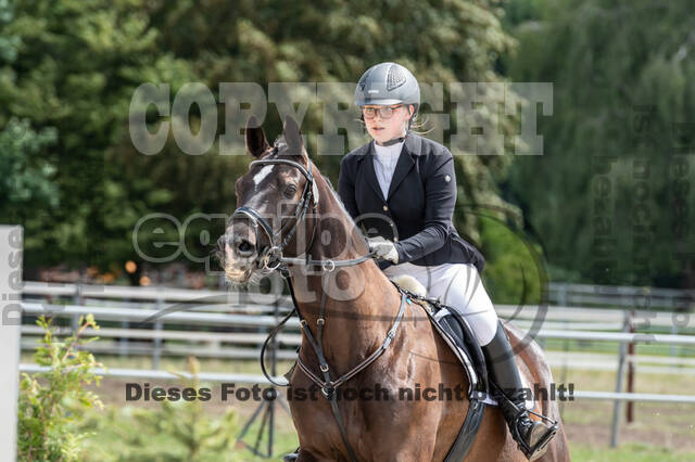 Late-Entry-Vielseitigkeit Langenfeld (06.+07.07.2020)