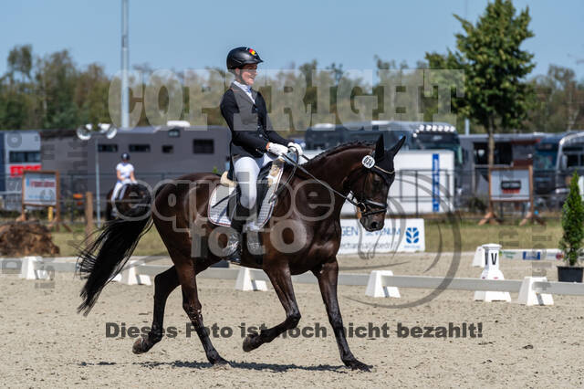 Kronenberg - De Peelbergen (August 2020)