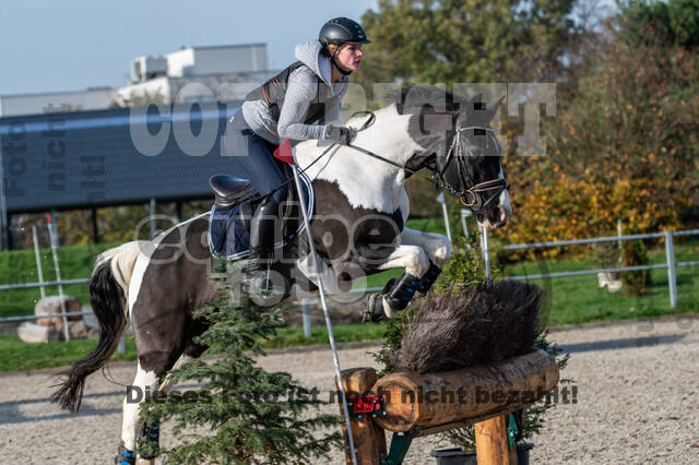 IGV Lehrgang der Sieger der Cups mit Frank Ostholt