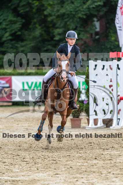 Goldene Schärpe 2021 - Ponys
