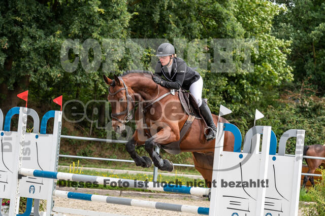 Late-Entry-Vielseitigkeit Langenfeld (06.+07.07.2020)