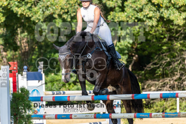 RFV Dinslaken-Hiesfeld (Herbstturnier)