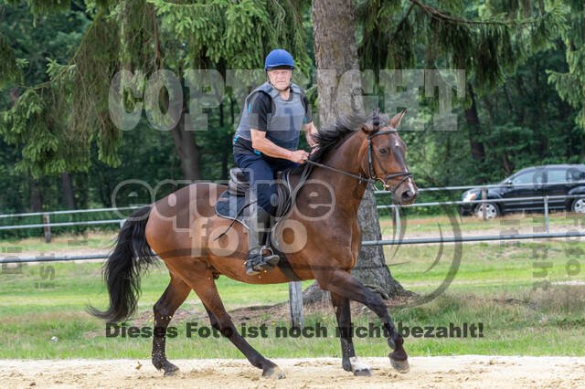 Hunter Geländetraining 10.07.2021 (Sonsbeck)