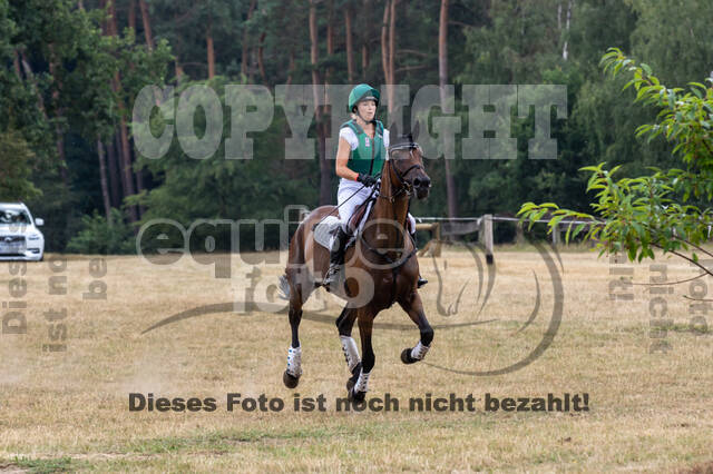 Late-Entry Vielseitigkeit Hamminkeln/Wesel (01.+02.08.2020)