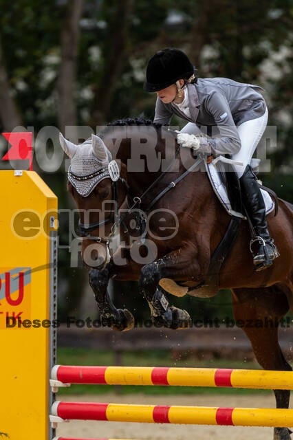 Vielseitigkeit RSV Wesel Obrighoven (26.+27.09.2020)