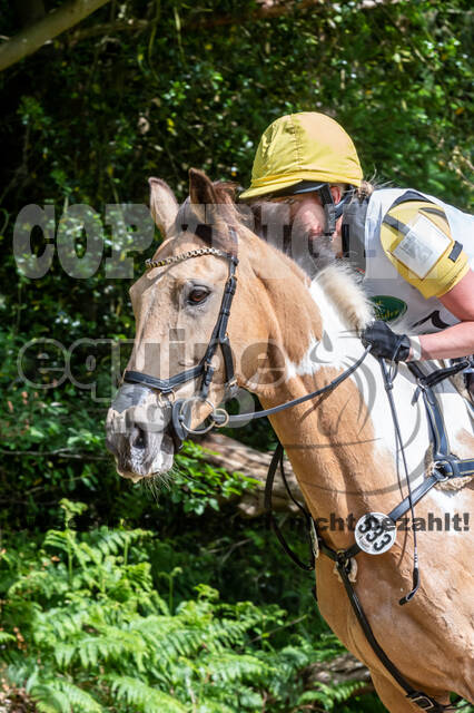 Westerstede Horse Trials 2021