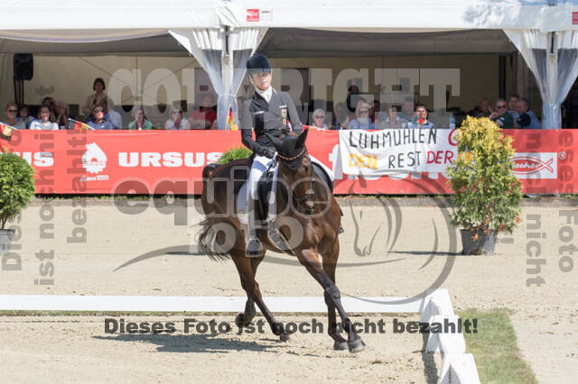 FEI European Championship Eventing 2017