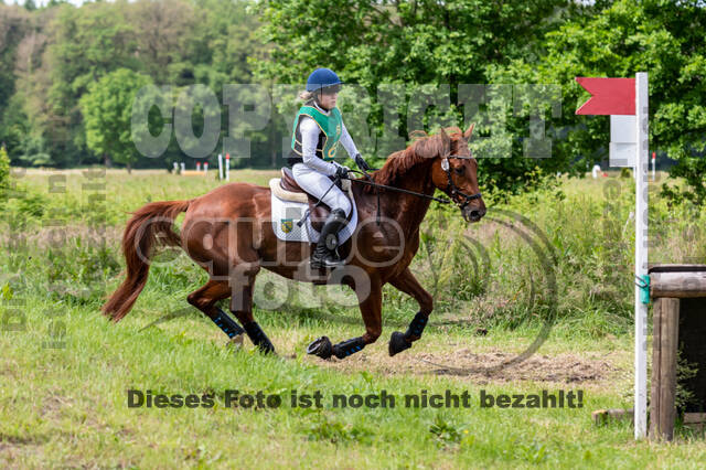 Westerstede Horse Trials (10.-13.06.2021)