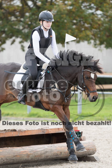 IGV Lehrgang der Sieger der Cups mit Frank Ostholt