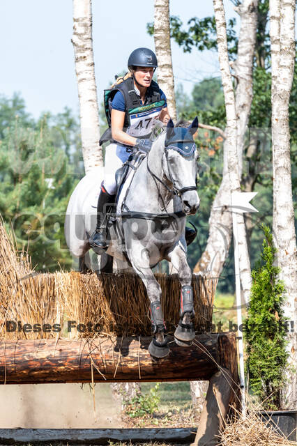 De Peelbergen (August 2020)