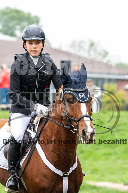 Goldene Schärpe 2020 - Pferde