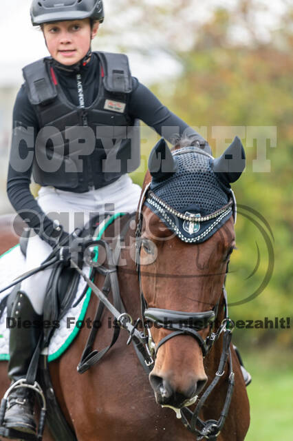 Goldene Schärpe 2020 - Pferde