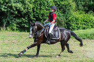 Goldene Schärpe 2021 - Ponys