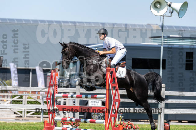 Kronenberg - De Peelbergen (August 2020)