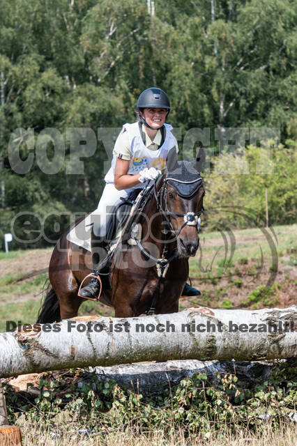 Late-Entry Vielseitigkeit Hamminkeln/Wesel (01.+02.08.2020)