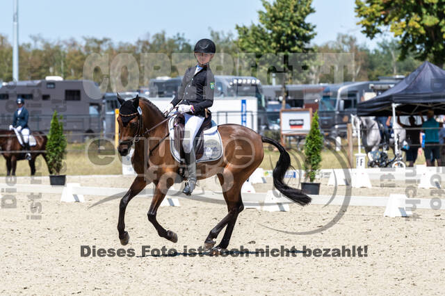 Kronenberg - De Peelbergen (August 2020)