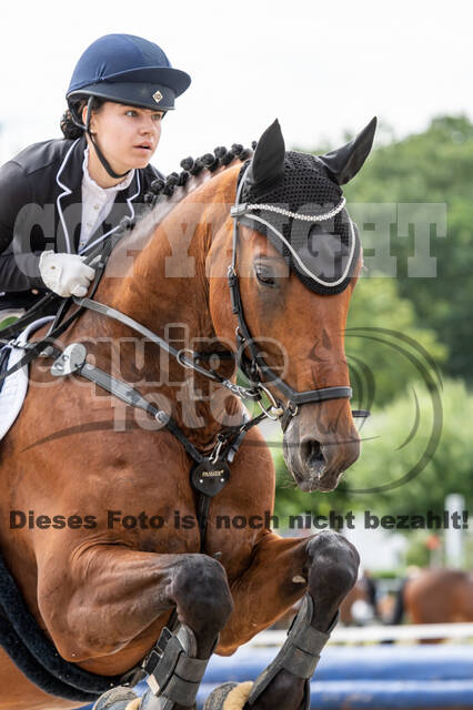 Late-Entry-Vielseitigkeit Langenfeld (06.+07.07.2020)