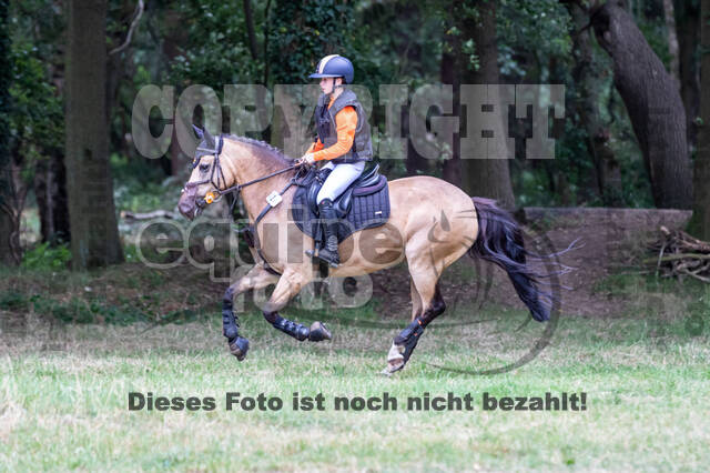 Late-Entry Vielseitigkeit Hamminkeln/Wesel (01.+02.08.2020)