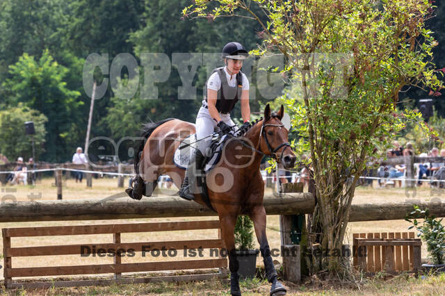 Late-Entry Vielseitigkeit Hamminkeln/Wesel (01.+02.08.2020)