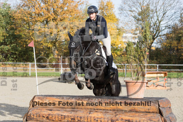 IGV Lehrgang der Sieger der Cups mit Frank Ostholt