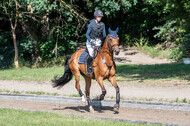 Late-Entry-Vielseitigkeit Langenfeld (11.+13./14.06.2020)