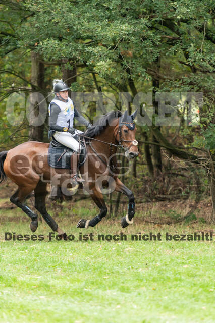 Vielseitigkeit RSV Wesel Obrighoven (26.+27.09.2020)