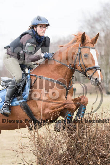 Geländetraining RSV St. Hubertus Wesel Obrighoven